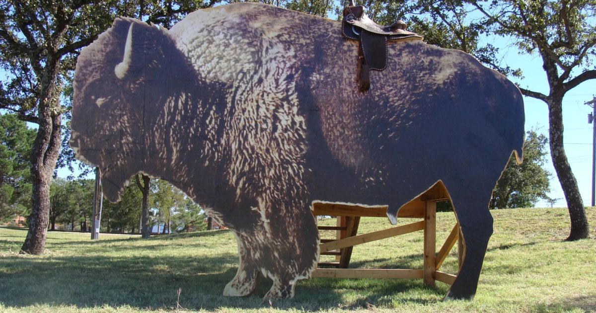 Hunting and Hunting Leases Abilene, TX