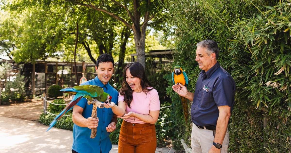 Attractions | Arts, Museums & Zoo | Abilene, TX