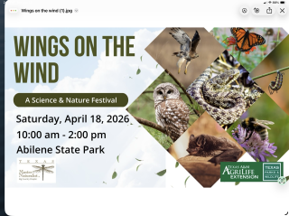 Wings on the Wind‑A Science and Nature Festival