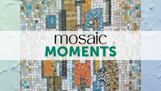 Mosaic Moments